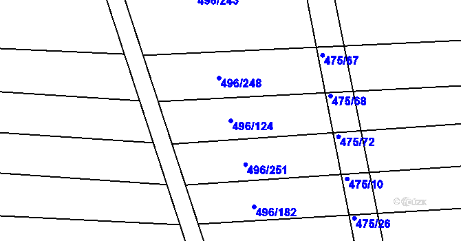 Parcela st. 496/124 v KÚ Blišice, Katastrální mapa
