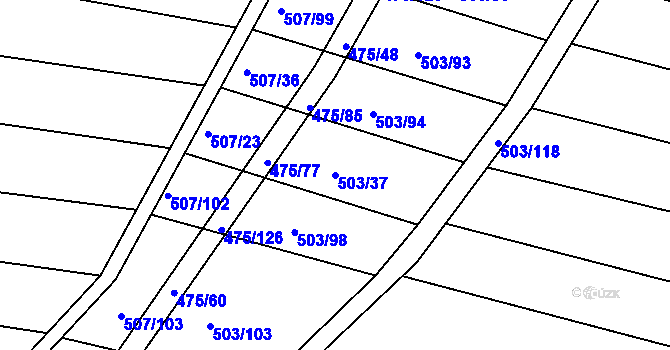 Parcela st. 503/37 v KÚ Blišice, Katastrální mapa