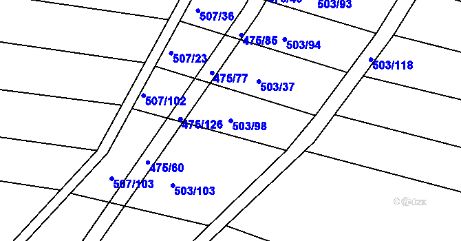 Parcela st. 503/98 v KÚ Blišice, Katastrální mapa
