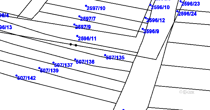 Parcela st. 507/135 v KÚ Blišice, Katastrální mapa