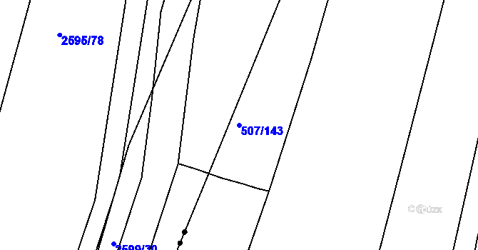 Parcela st. 507/143 v KÚ Blišice, Katastrální mapa