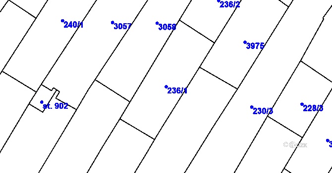 Parcela st. 236/1 v KÚ Kostice, Katastrální mapa