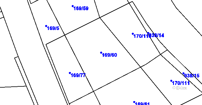 Parcela st. 169/60 v KÚ Košťany, Katastrální mapa