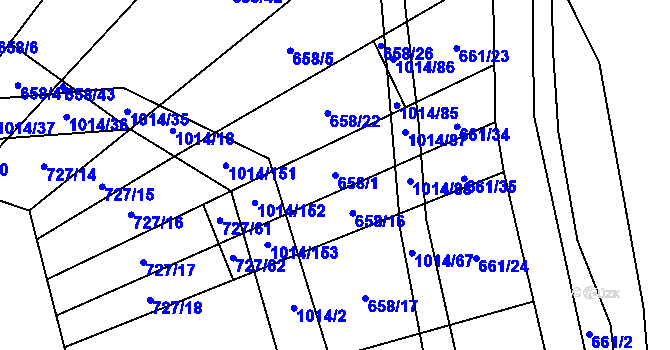 Parcela st. 658/1 v KÚ Koštice, Katastrální mapa
