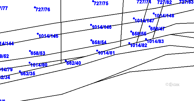 Parcela st. 1014/81 v KÚ Koštice, Katastrální mapa
