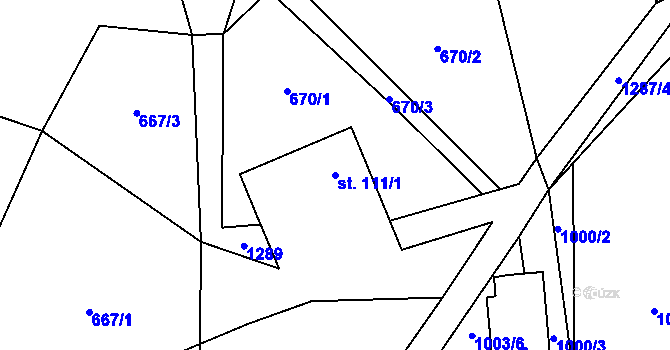 Parcela st. 111/1 v KÚ Nedvězí u Dobrušky, Katastrální mapa