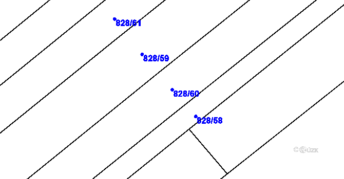 Parcela st. 828/60 v KÚ Kovalovice, Katastrální mapa
