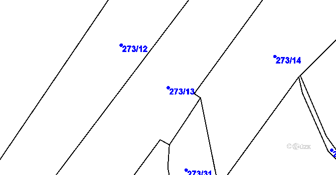 Parcela st. 273/13 v KÚ Kozmice u Benešova, Katastrální mapa
