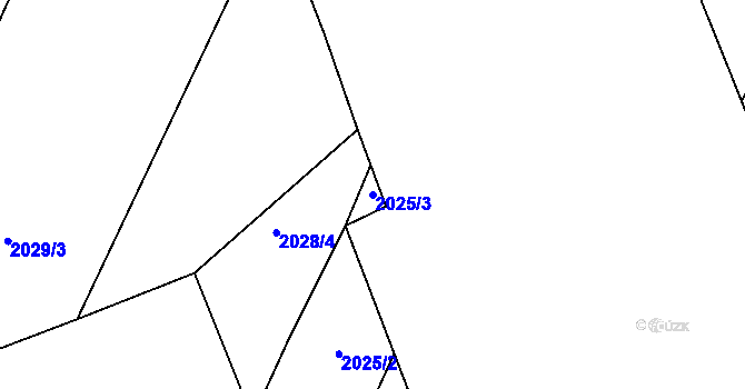 Parcela st. 2025/3 v KÚ Kozojedy u Kralovic, Katastrální mapa