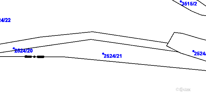 Parcela st. 2524/21 v KÚ Kozojedy u Kralovic, Katastrální mapa