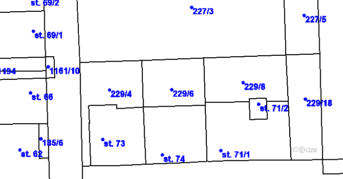 Parcela st. 229/6 v KÚ Kozolupy, Katastrální mapa
