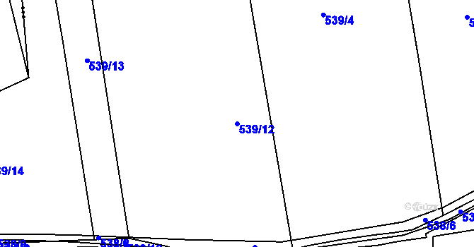 Parcela st. 539/12 v KÚ Bdeněves, Katastrální mapa