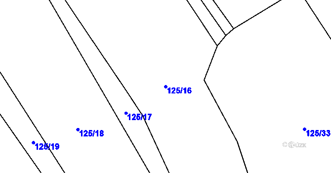 Parcela st. 125/16 v KÚ Blažov, Katastrální mapa