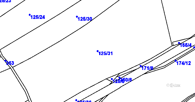 Parcela st. 125/31 v KÚ Blažov, Katastrální mapa