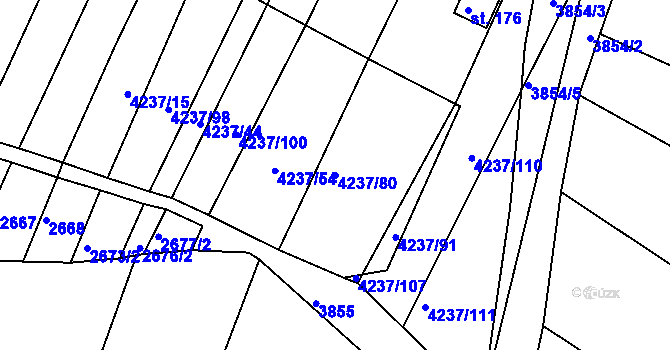 Parcela st. 4237/80 v KÚ Kožušice, Katastrální mapa