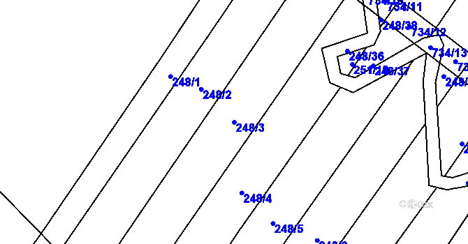 Parcela st. 248/3 v KÚ Krahulčí u Telče, Katastrální mapa
