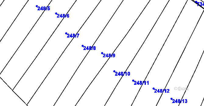 Parcela st. 248/9 v KÚ Krahulčí u Telče, Katastrální mapa