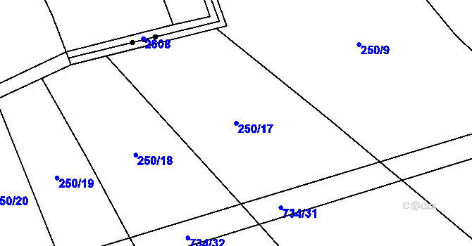 Parcela st. 250/17 v KÚ Krahulčí u Telče, Katastrální mapa