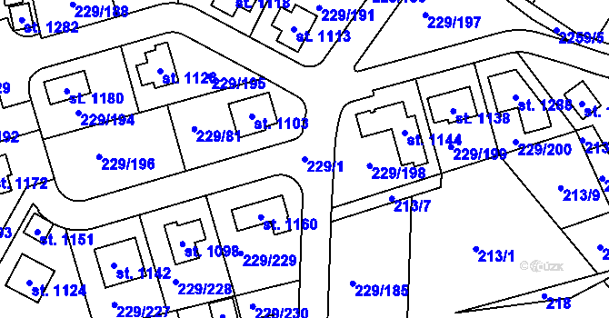 Parcela st. 229/1 v KÚ Králův Dvůr, Katastrální mapa