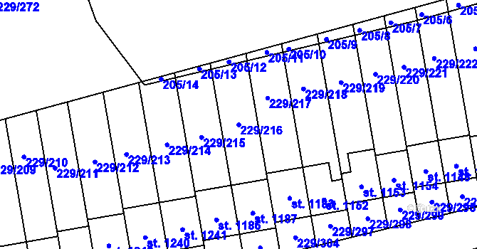 Parcela st. 229/216 v KÚ Králův Dvůr, Katastrální mapa