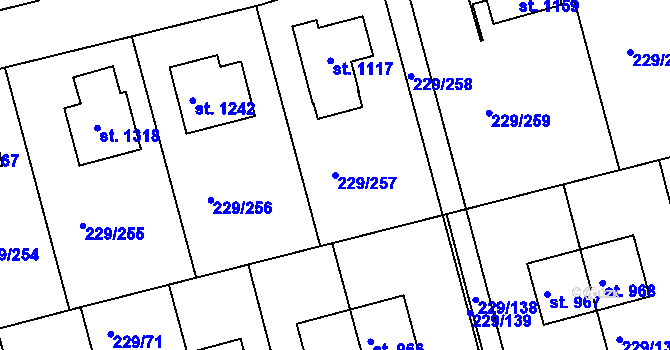 Parcela st. 229/257 v KÚ Králův Dvůr, Katastrální mapa