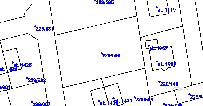 Parcela st. 229/596 v KÚ Králův Dvůr, Katastrální mapa