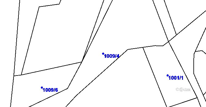 Parcela st. 1009/4 v KÚ Krásná pod Lysou Horou, Katastrální mapa