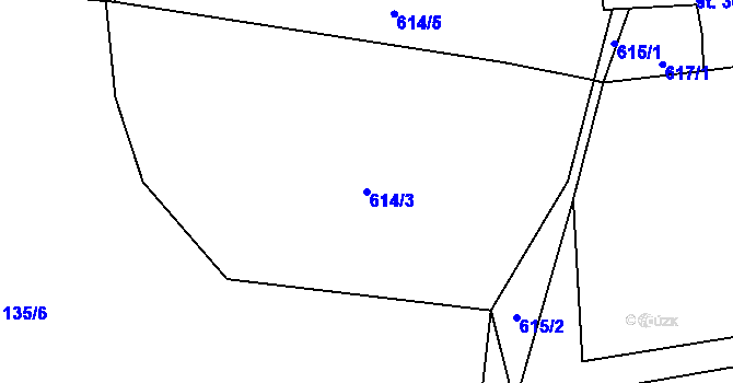 Parcela st. 614/3 v KÚ Krasov, Katastrální mapa