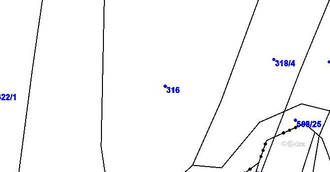 Parcela st. 316 v KÚ Vitice u Vodňan, Katastrální mapa