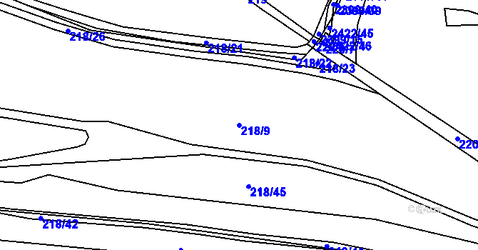 Parcela st. 218/9 v KÚ Krbice, Katastrální mapa