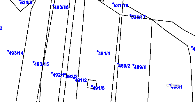 Parcela st. 491/1 v KÚ Krčmaň, Katastrální mapa