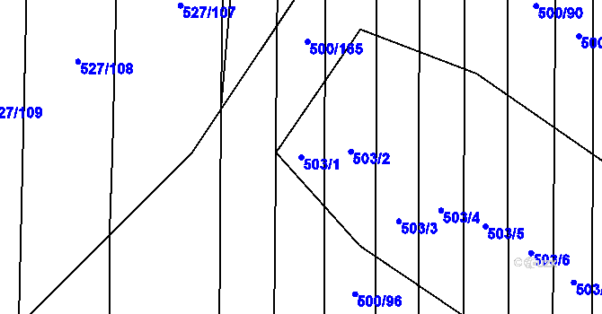 Parcela st. 503/1 v KÚ Krčmaň, Katastrální mapa