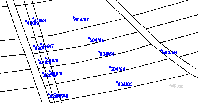 Parcela st. 604/65 v KÚ Krčmaň, Katastrální mapa