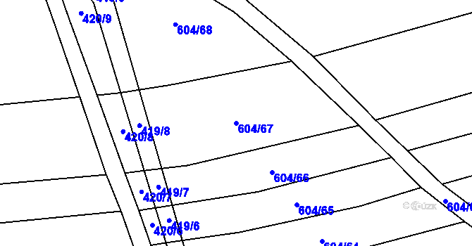 Parcela st. 604/67 v KÚ Krčmaň, Katastrální mapa