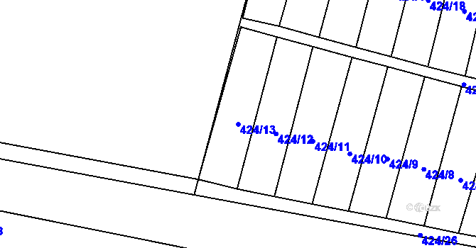 Parcela st. 424/13 v KÚ Krnov-Horní Předměstí, Katastrální mapa