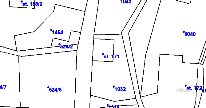 Parcela st. 171 v KÚ Dolní Světlá pod Luží, Katastrální mapa