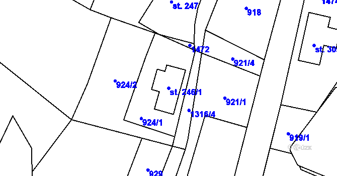 Parcela st. 246/1 v KÚ Dolní Světlá pod Luží, Katastrální mapa
