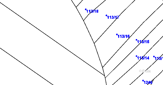Parcela st. 113/28 v KÚ Kroužek, Katastrální mapa