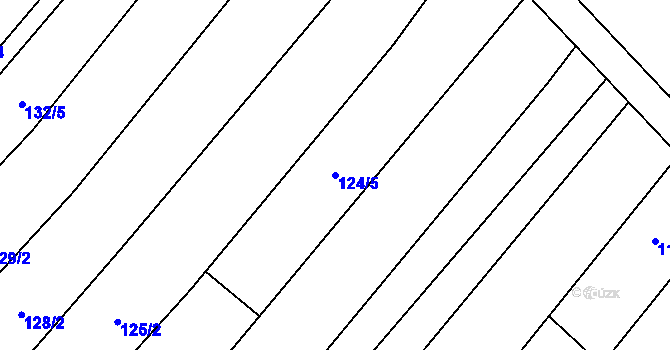 Parcela st. 124/5 v KÚ Krumvíř, Katastrální mapa