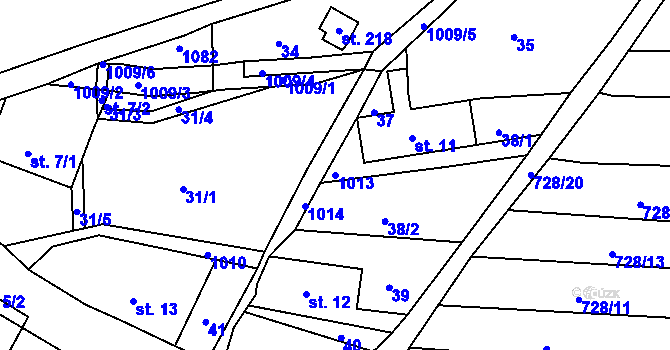 Parcela st. 1013 v KÚ Horní Krupka, Katastrální mapa