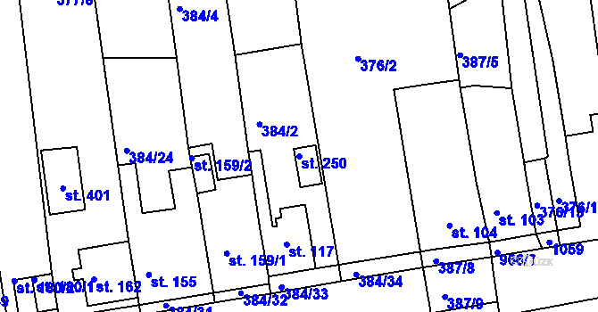 Parcela st. 250 v KÚ Vrchoslav, Katastrální mapa