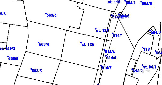 Parcela st. 125 v KÚ Krušovice, Katastrální mapa