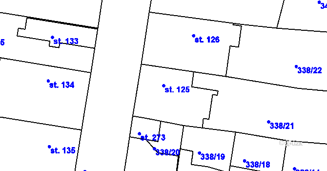 Parcela st. 125 v KÚ Křečhoř, Katastrální mapa