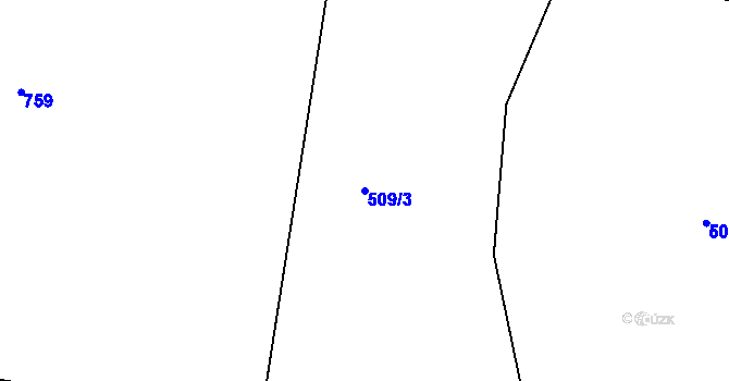 Parcela st. 509/3 v KÚ Křečhoř, Katastrální mapa