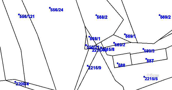 Parcela st. 556/21 v KÚ Křemže, Katastrální mapa