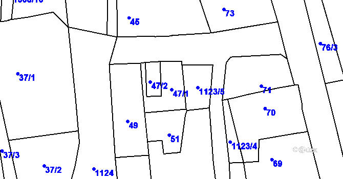 Parcela st. 47/1 v KÚ Křenovy, Katastrální mapa