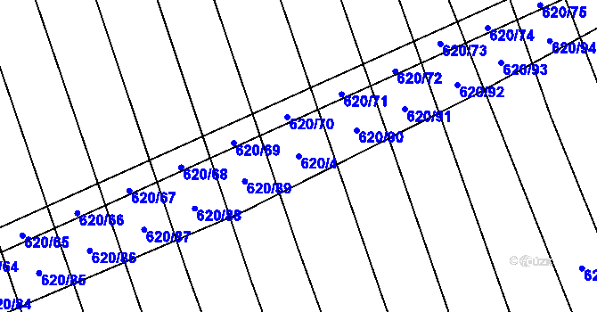 Parcela st. 620/4 v KÚ Křepice u Hustopečí, Katastrální mapa