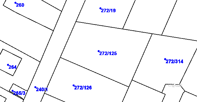 Parcela st. 272/125 v KÚ Křeslice, Katastrální mapa