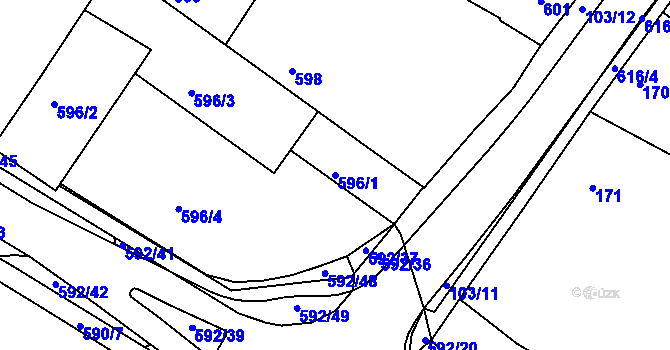 Parcela st. 596/1 v KÚ Křimice, Katastrální mapa