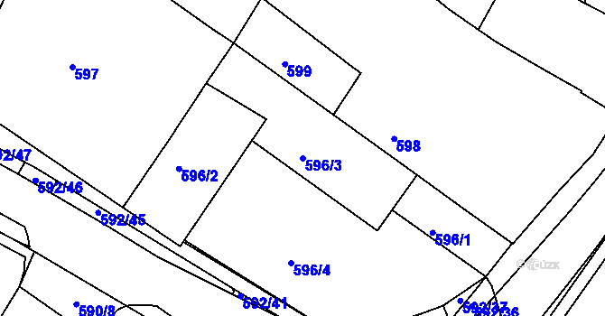 Parcela st. 596/3 v KÚ Křimice, Katastrální mapa